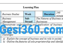 Download SHS/SHTS/STEM Learning Planner Week 1 and 2 Business Studies Learning Planner