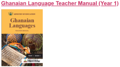 Download Ghanaian Teacher Manual (Year 1) For SHS/SHTS/STEM Book 1