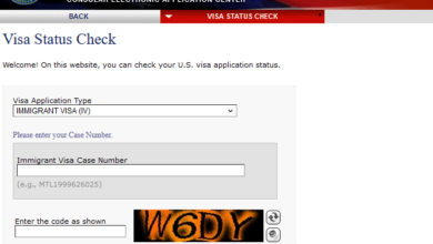 How to Easily Track or Check Your Visa Processing Status Online