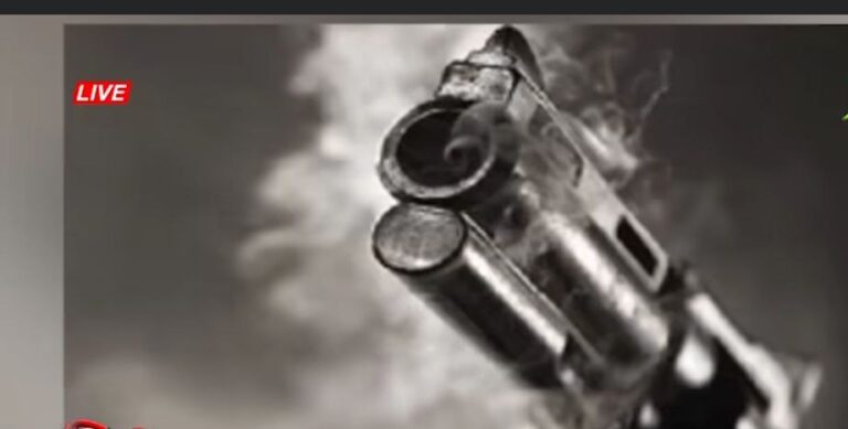 Two students in court for allegedly robbing teacher at gun point and showing her Nude to