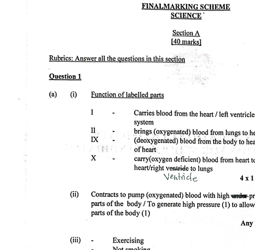 Download the BECE Marking Scheme for All Subjects