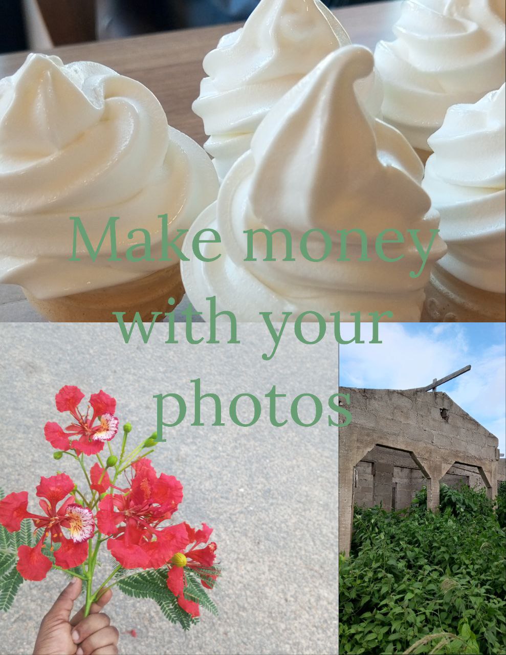 Stock Photography; Sell a Picture and Make Money; Beginner’s Guide