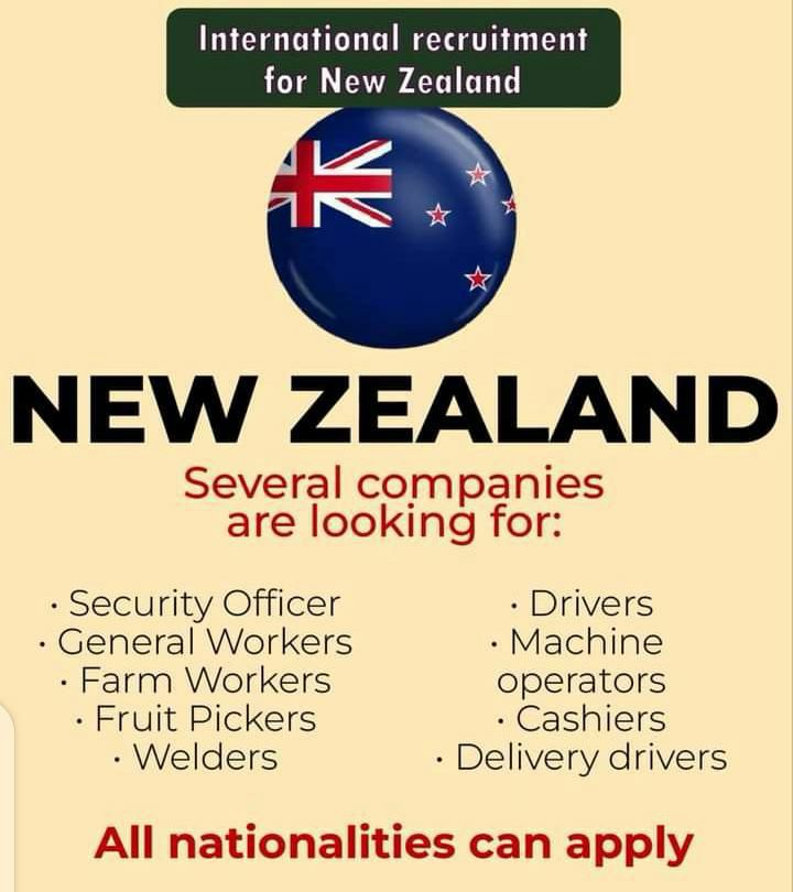 2-Year Working Visa – New Zealand Travel and Pay Offer